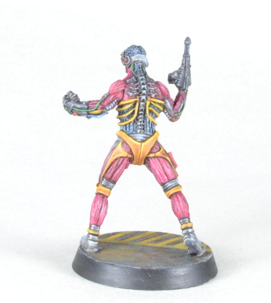 traveller2.jpg