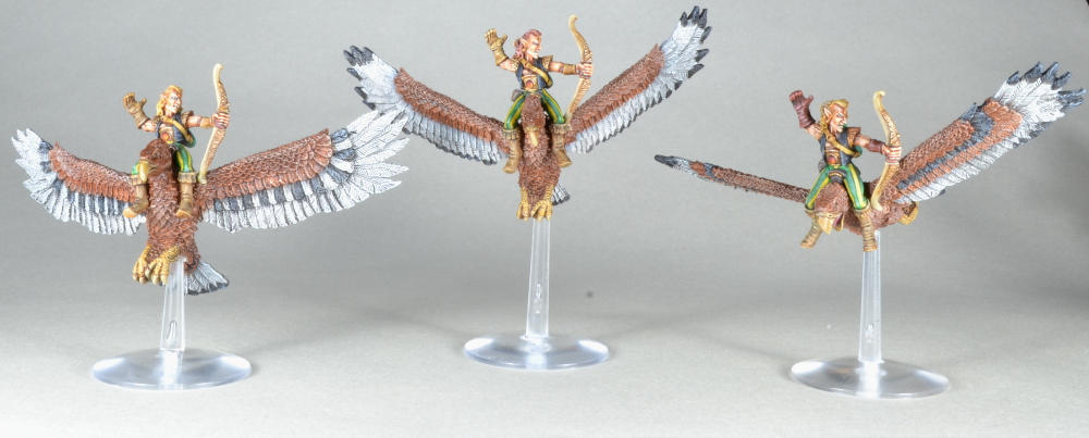warhawks4.jpg