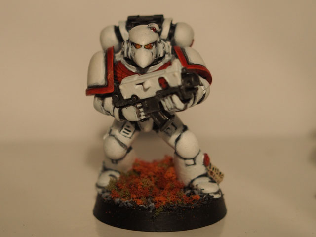SM1.jpg