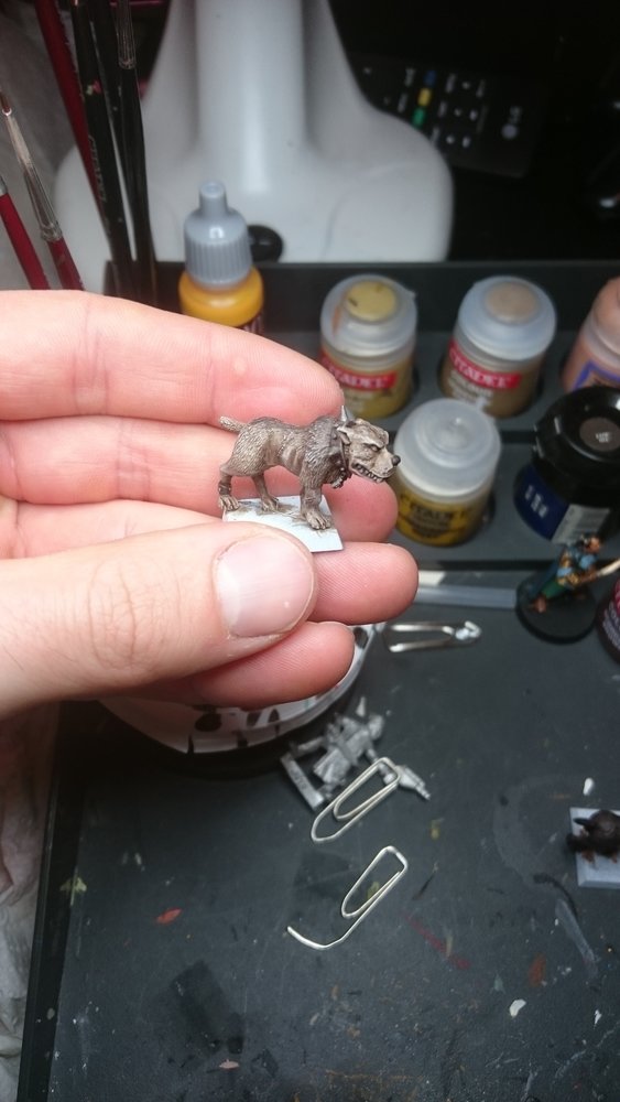 IMG-20161101-WA0015.jpeg