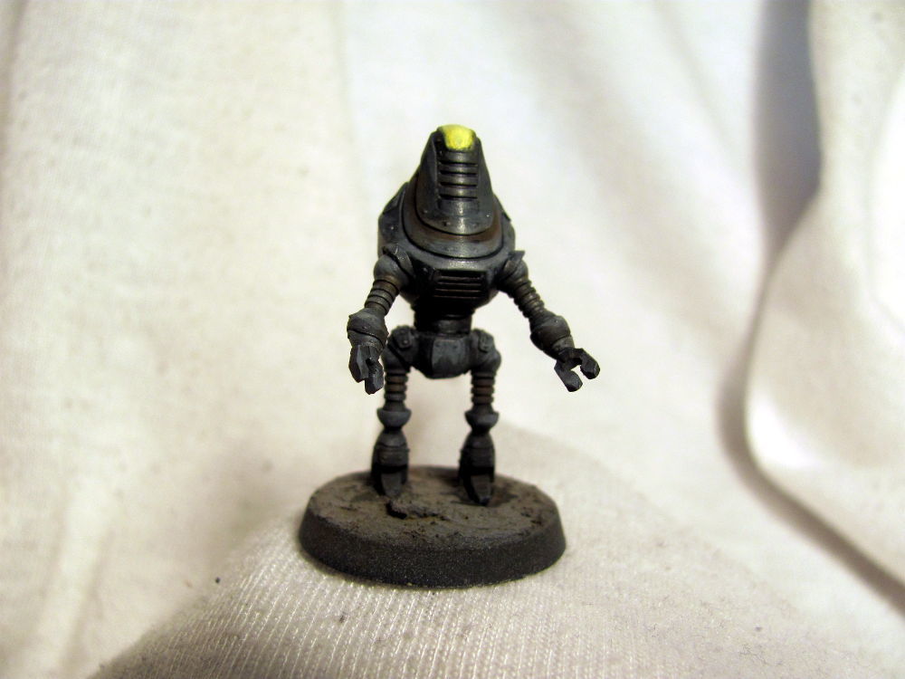 aav1.JPG