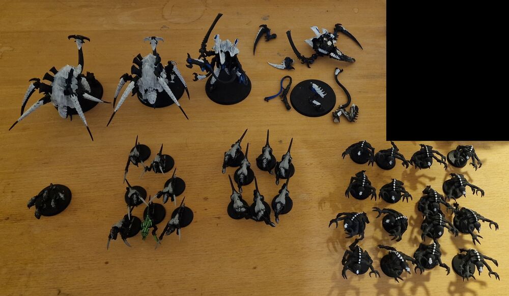 19Tyranid.jpg