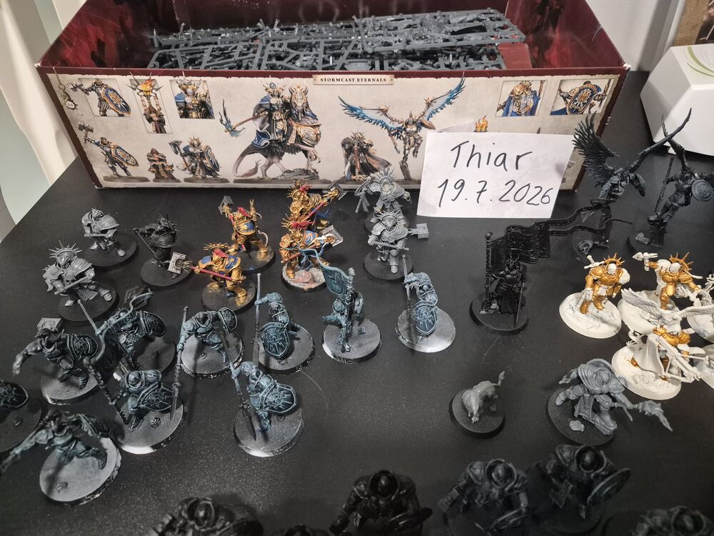 13566.jpg
