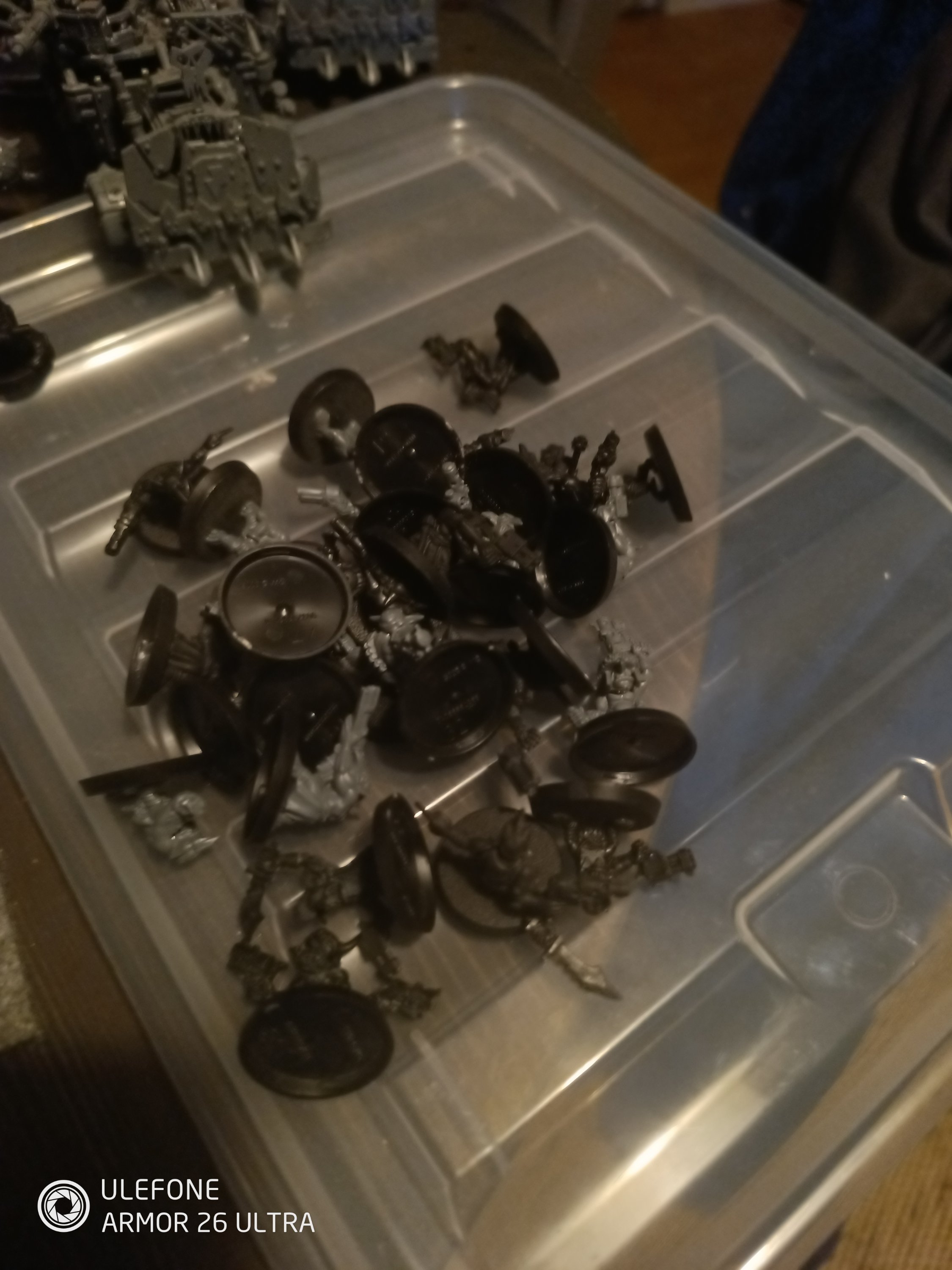 IMG_20260925_204935_401.jpg
