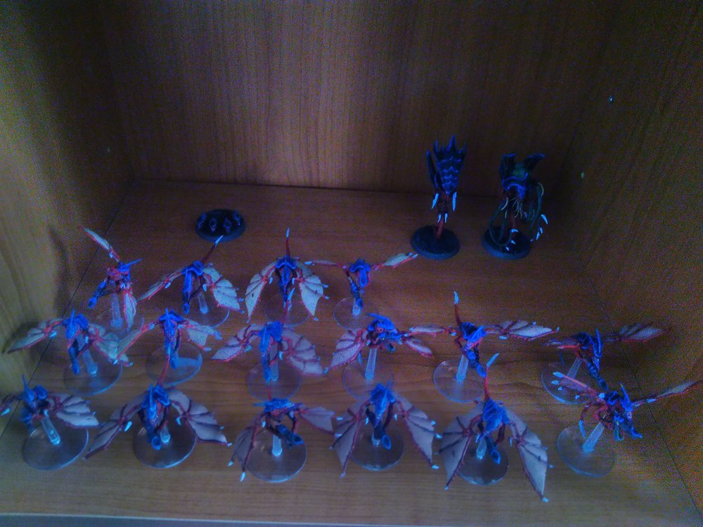 Gargoyles 16/30, zoanthrope, venomthrope, Rippers 1/6
