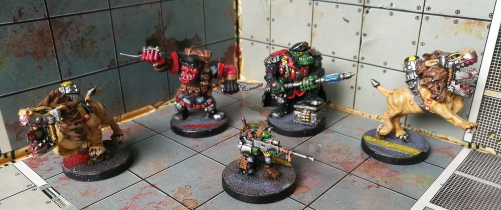 Marauder_Special.jpg