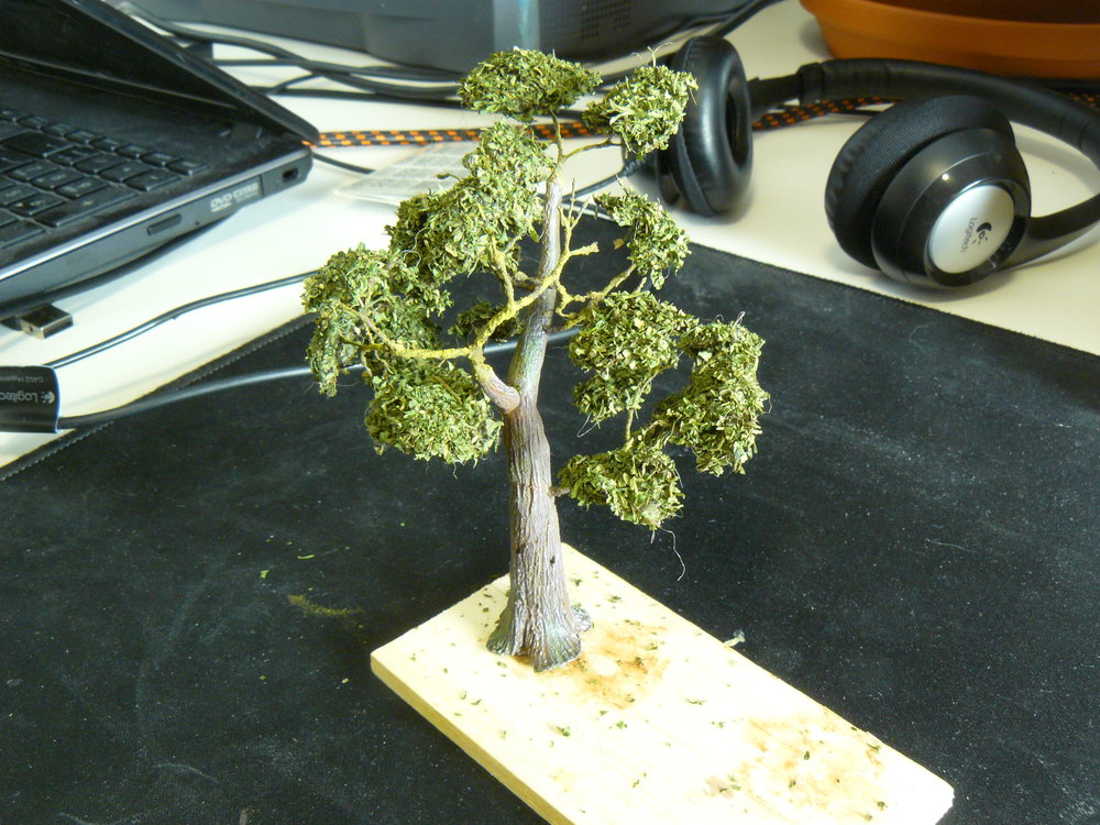 P1040163.JPG